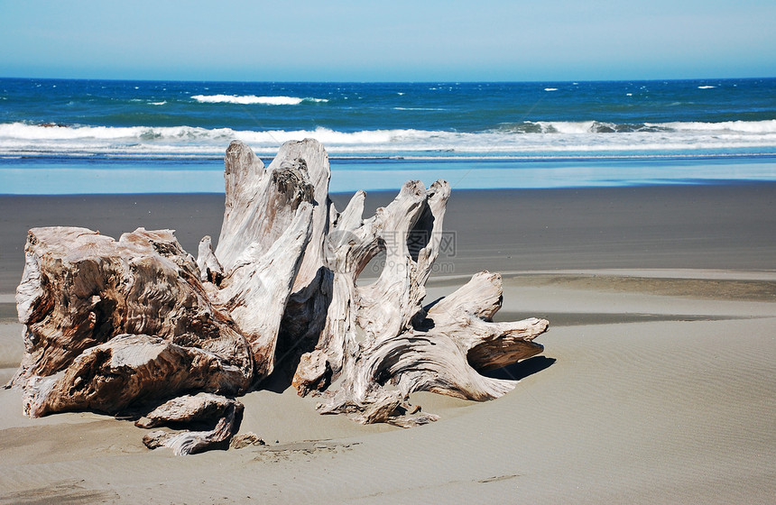 沙滩上漂流木树桩波浪海岸线海岸浮木冲浪海滩海洋蓝色木头图片