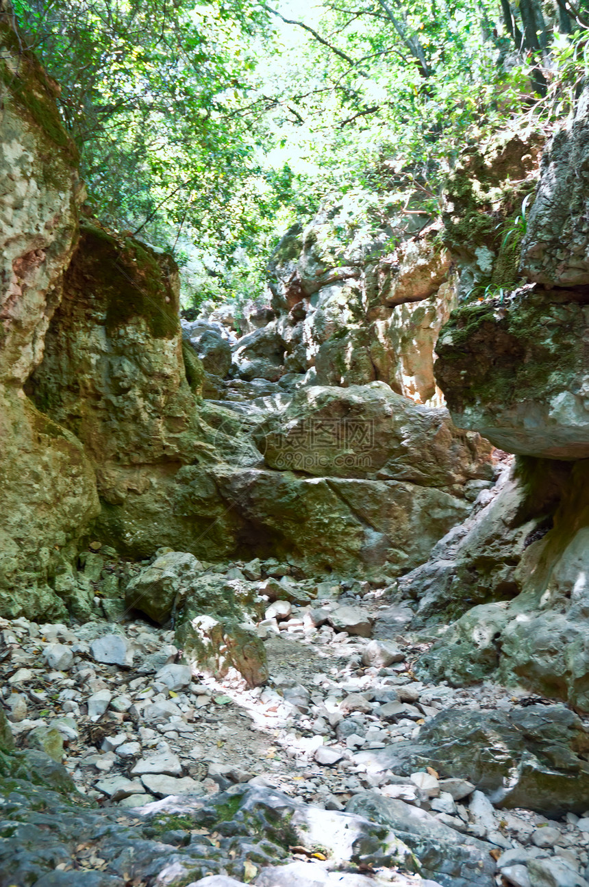 山区峡谷树木苔藓岩石图片
