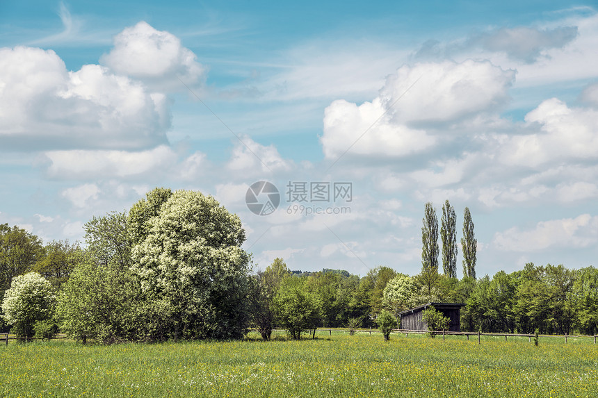 蓝天空草地环境生长场景场地爬坡森林阳光天气天空季节图片