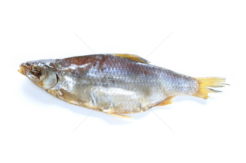 干鱼食物转基因健康脱水营养银色水平低血糖图片