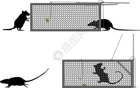 啮齿动物人道老鼠陷阱插画
