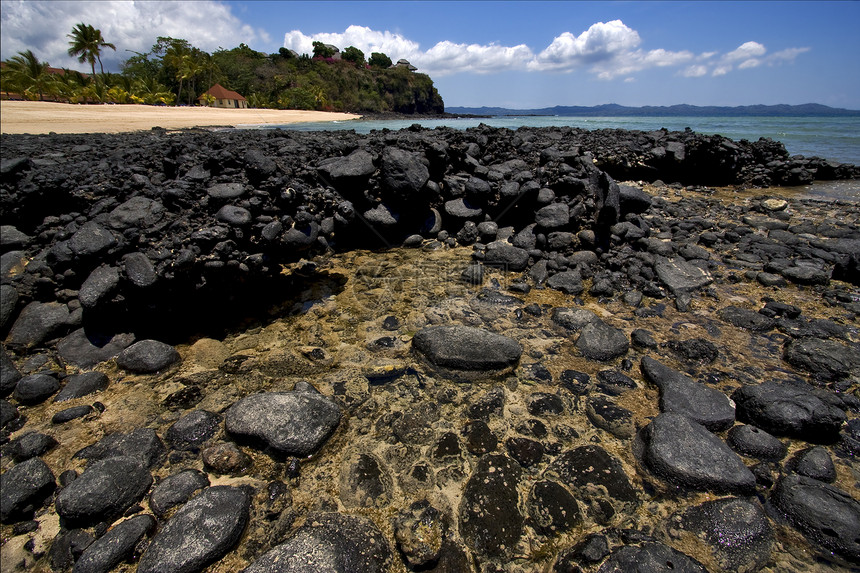 马达加斯加海藻房子植物支撑衬套波浪海岸线石头闲事低潮图片