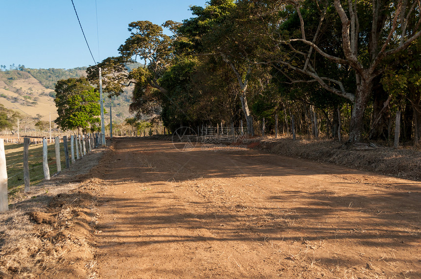 农场泥土路环境车道阴影人行道小路植物叶子场景生长树叶图片