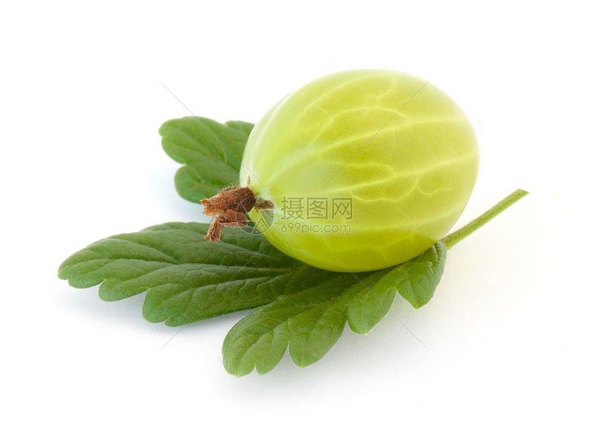 鹅莓产品叶子食物香气绿色营养水果甜点饮食树叶图片