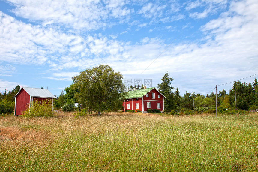 夏季风景绿色房子天空地平线植物群森林花园建筑图片