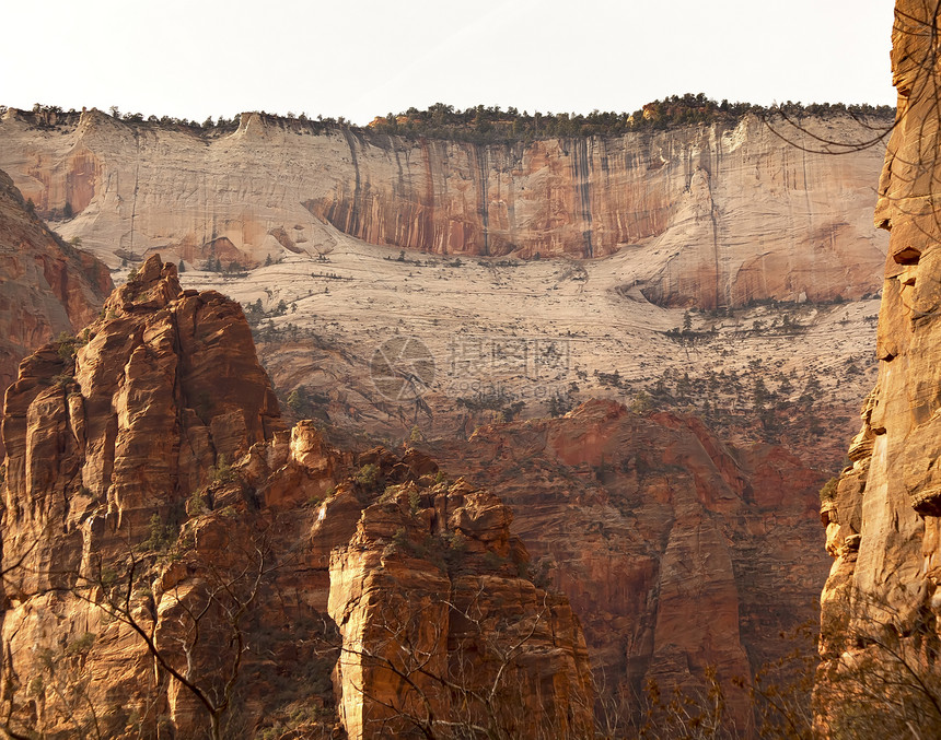 白红峡谷墙锡安峡谷国家公园犹他州图片