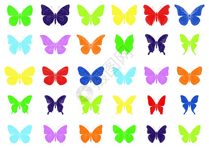 彩色热带蝴蝶矢量天线艺术航班斑点蓝色翅膀漏洞黑色夹子收藏背景图片