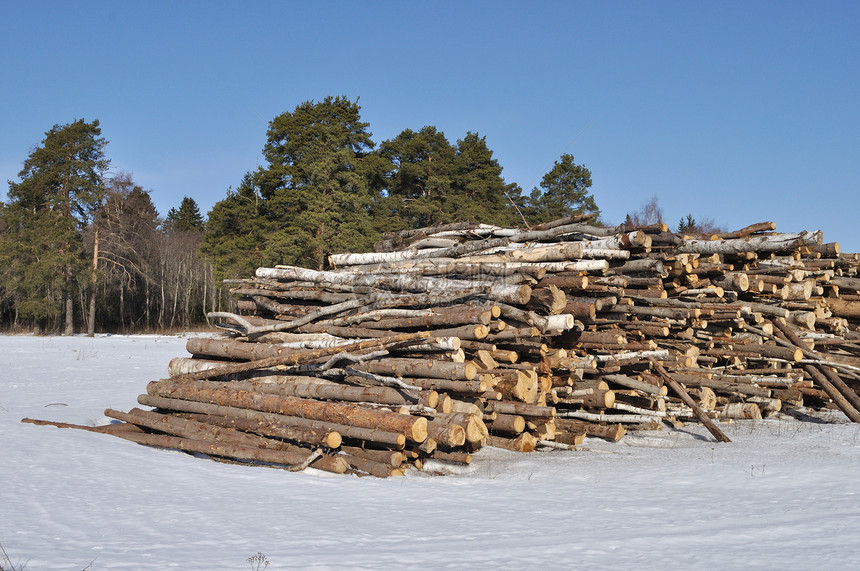 冬季森林边缘的木柴堆图片