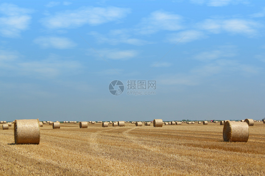 带有草条的字段国家饲料农业场地干旱稻草乡村蓝色收成黄色图片