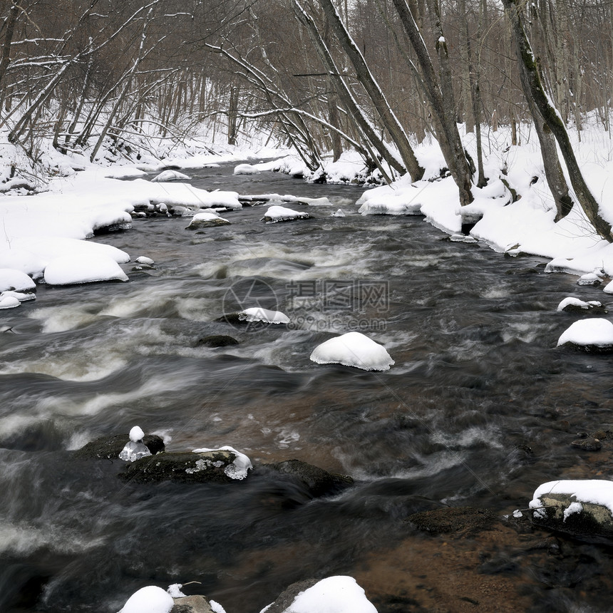 冬季河巨石森林季节白色溪流黑色图片