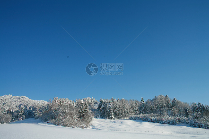 冬天薄片太阳地平线降雪水晶森林冷冻冬景假期土地图片