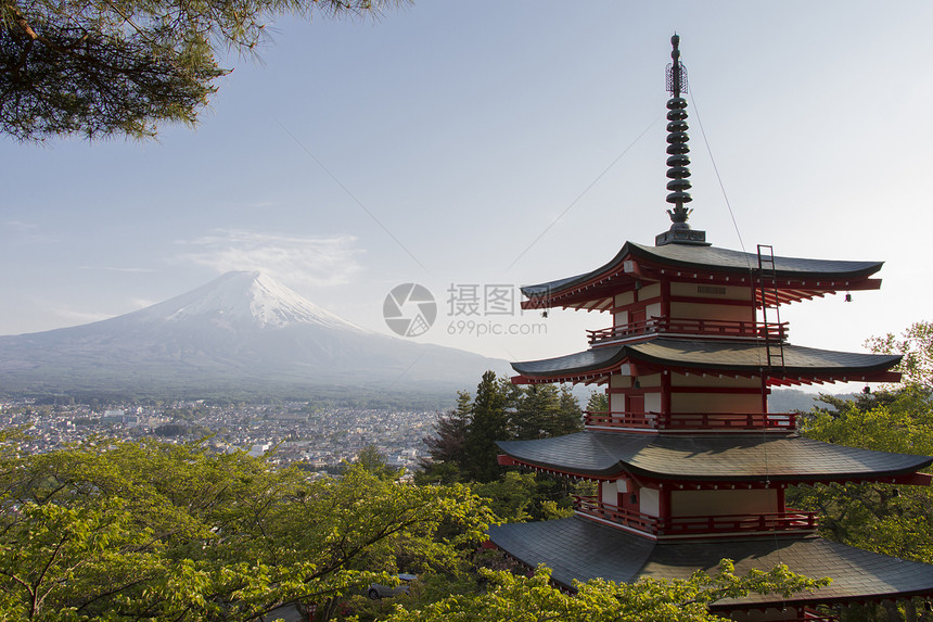 从后面观看的藤田山树木城市火山寺庙树叶白色场景宝塔历史性旅行图片