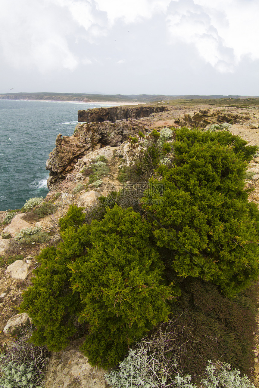 美丽的萨格雷斯海岸线风景植被海岸蓝色晴天旅游悬崖白色波浪海洋图片