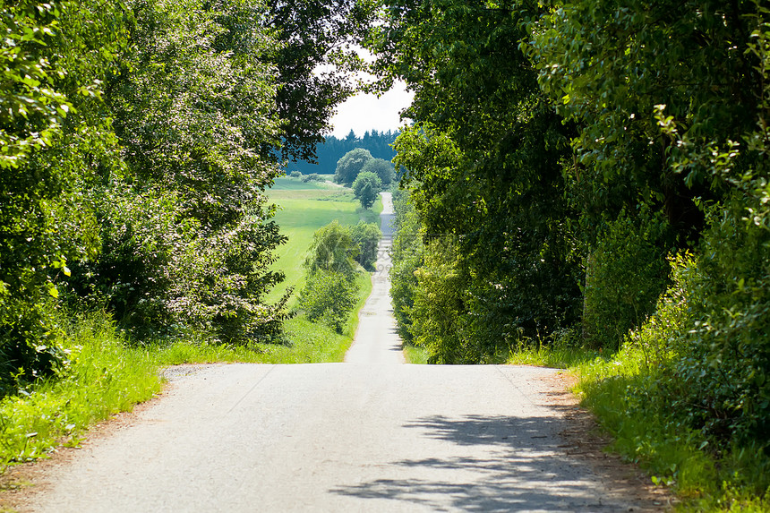 村路夏季风景图片