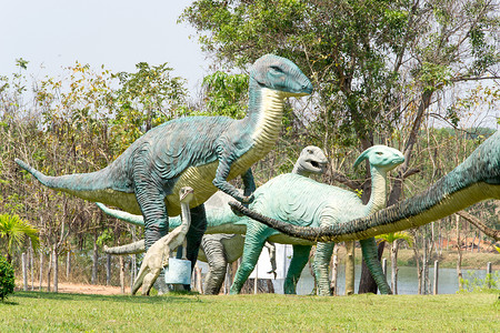 雕像和恐龙公共公园旅游公共公园历史公园恐龙动物化石捕食者侏罗纪骨架背景图片