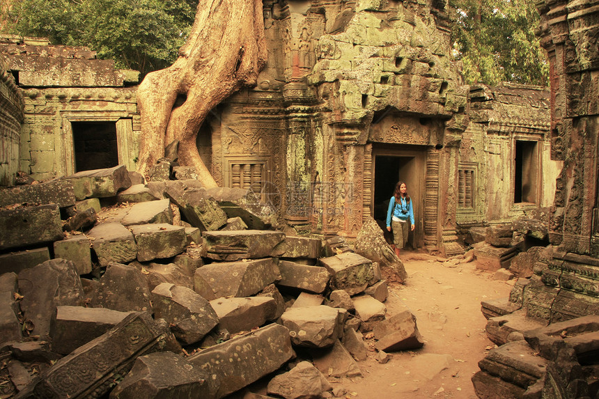 塔普罗寺庙石头生长建筑学舞会收获宽慰雕刻高棉语荒野植物图片