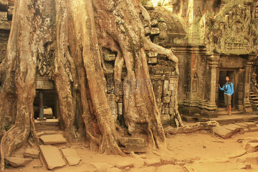 塔普罗寺庙建筑学收获雕刻荒野热带丛林木头石头生长建筑图片