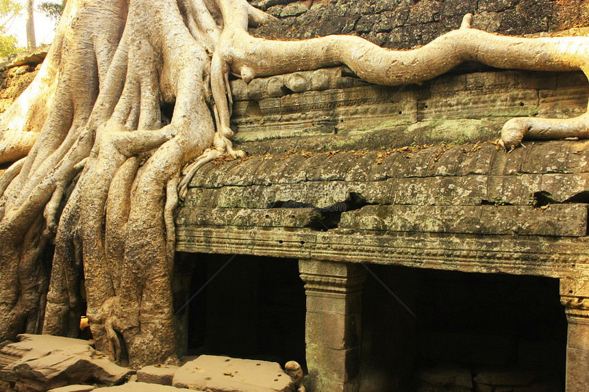 塔普罗寺庙旅游植物收获舞会木头窗户遗产宽慰石头荒野图片