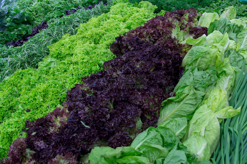 柜台市场上的新鲜绿菜和生菜绿色农民食物薄荷店铺大葱杂货东西草药白菜图片