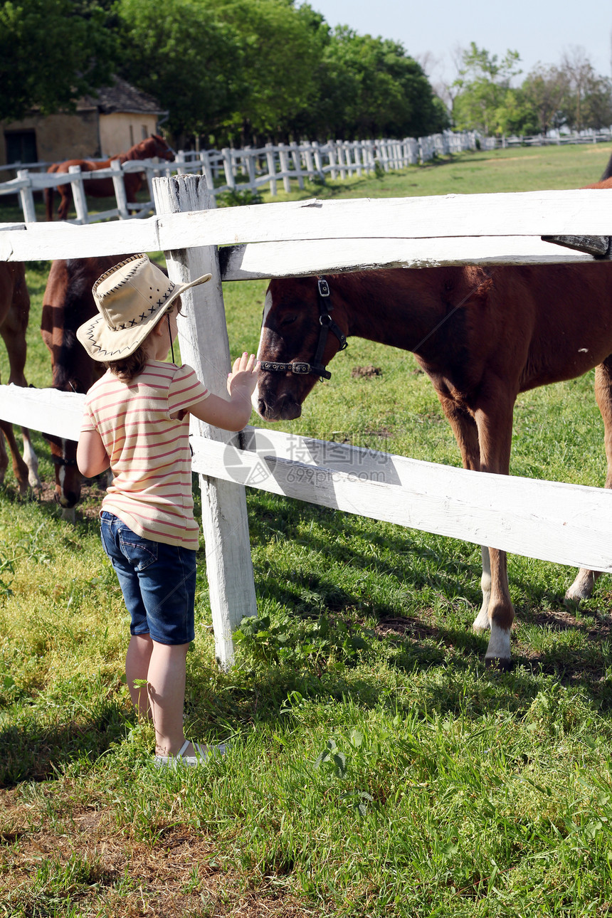 有马匹农场现场的小女孩图片