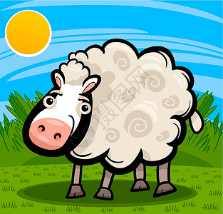 农牧养羊的动物漫画插图乡村绘画快乐草图家畜卡通片白色吉祥物草地羊毛背景图片