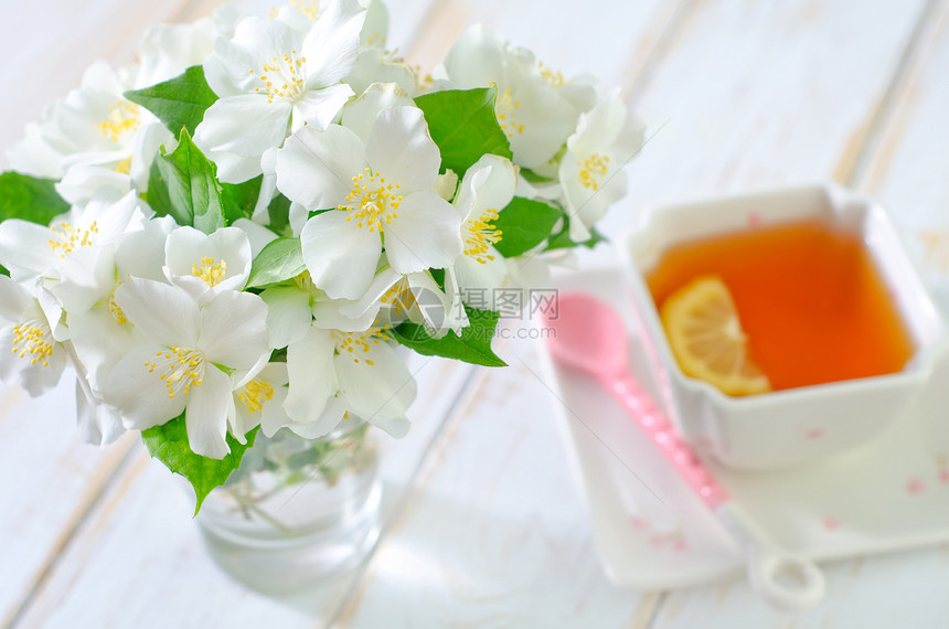 茉翠花瓶绿色植物双花植物茉莉花束茉莉花环境叶子杯子图片