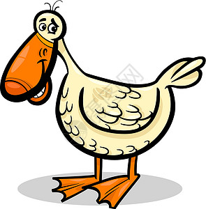 鸭子鸟鸭子养鸡鸟漫画插图家畜绘画家禽卡通片国家白色草图鸭子翅膀羽毛插画
