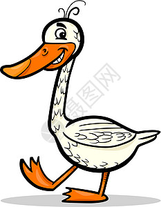 白色的鹅鹅养鸡鸟漫画插图白色羽毛吉祥物微笑农场绘画国家家畜尾巴卡通片插画