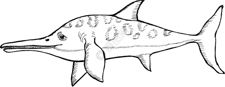 象眼龙捕食者古生物学鱼龙卡通片海洋怪物手绘插图草图侏罗纪背景图片