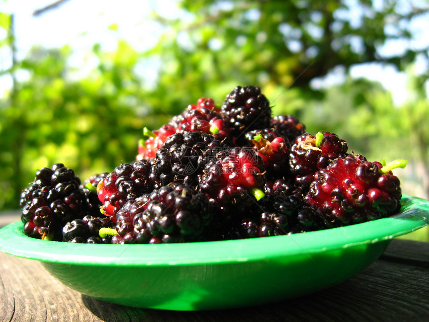 盘子上深熟的黑莓木莓培育气候农业食物园艺树枝味道食品花园营养图片