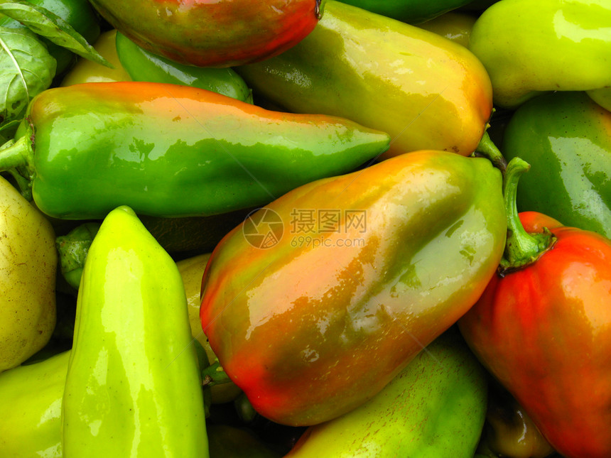 多色胡椒保加利亚胡椒作物营养农民生活绿色成长棕色产品杂货黄色蔬菜图片