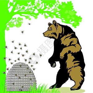 饥饿熊与蜂巢熊插画