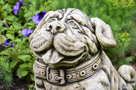 陶瓷犬农村陶瓷背景图片