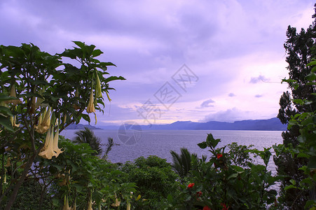 查看托巴湖北苏门答腊巴塔克高清图片