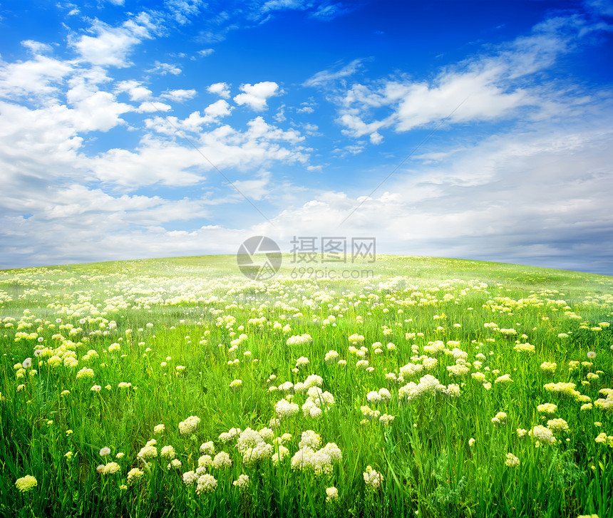 花花田蓝色太阳国家生长土地阳光花园场地地平线天空图片