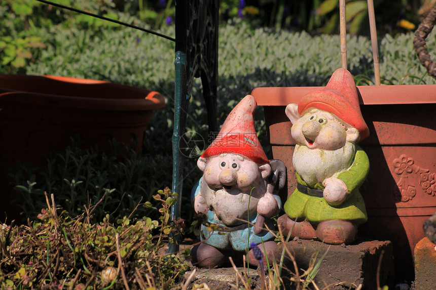 花园 Gnome 2图片