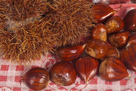 栗子季节性棕色食物水果背景图片