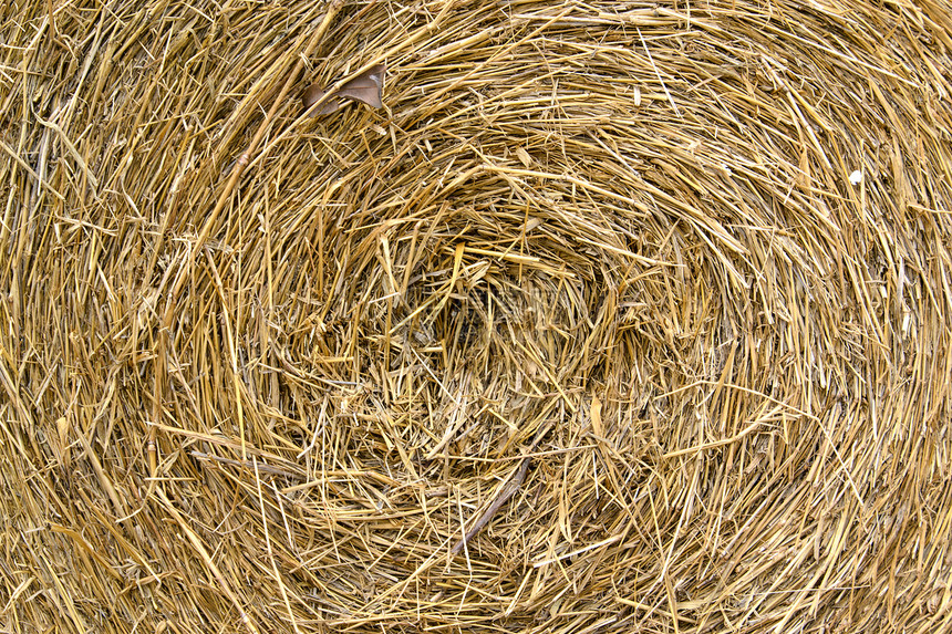 湿米稻草收成马槽国家农场家畜草垛农田稻草农民大麦图片