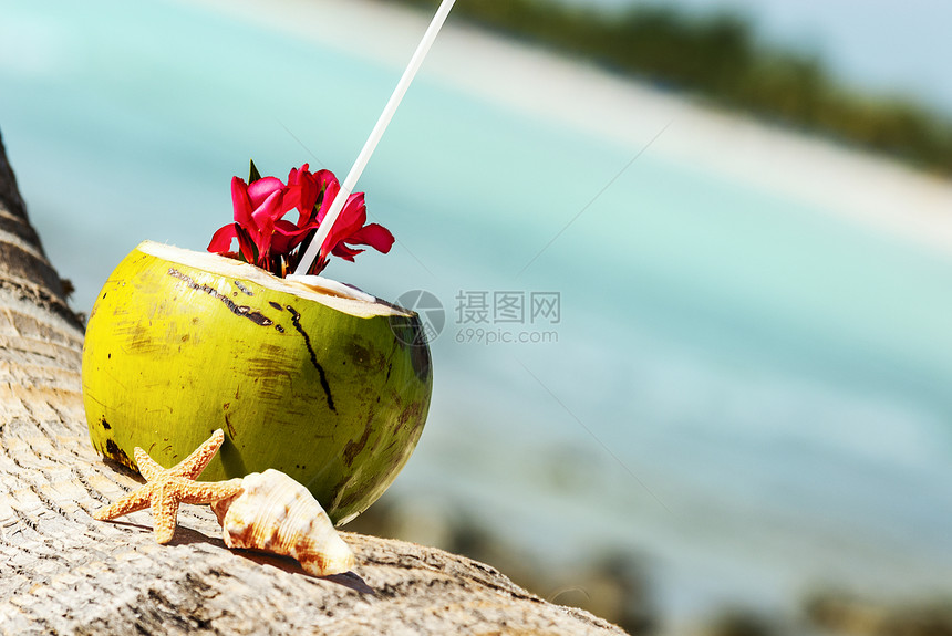 海滩上的椰子支撑海景海洋水果太阳海岸天堂晴天棕榈坚果图片