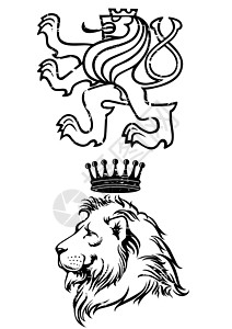 皇冠坎皮恩狮子皮环插画