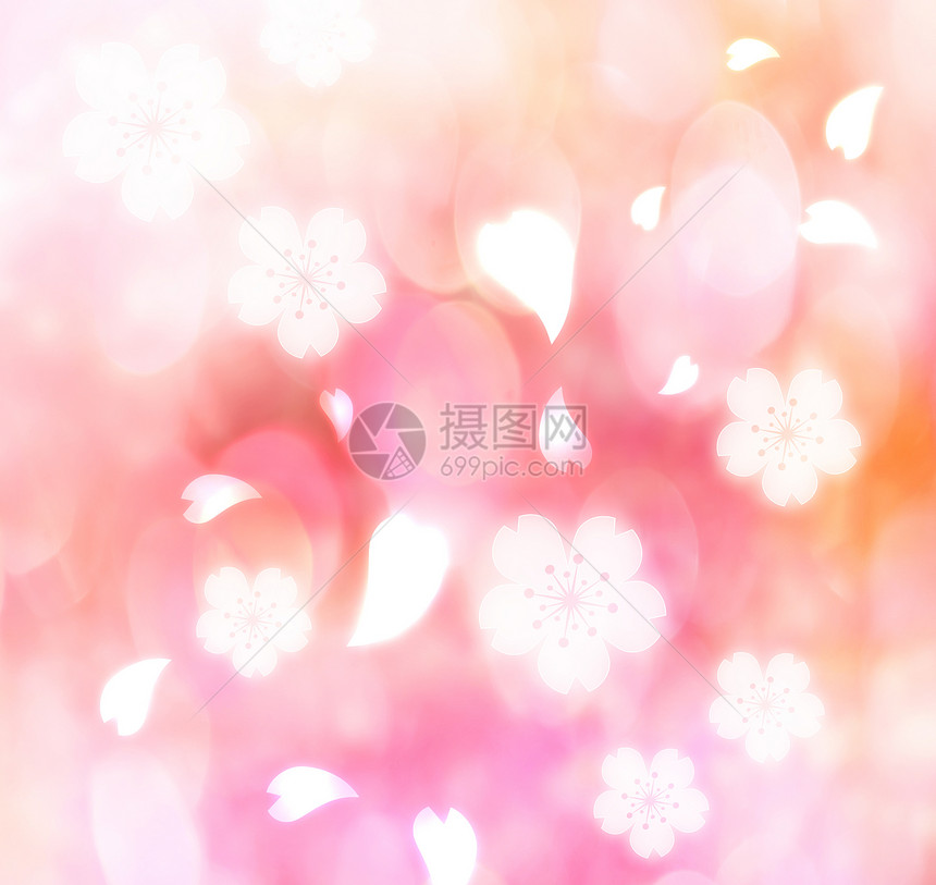 樱花花背景插图纹理花瓣粉色圆圈季节柔软度樱花图片