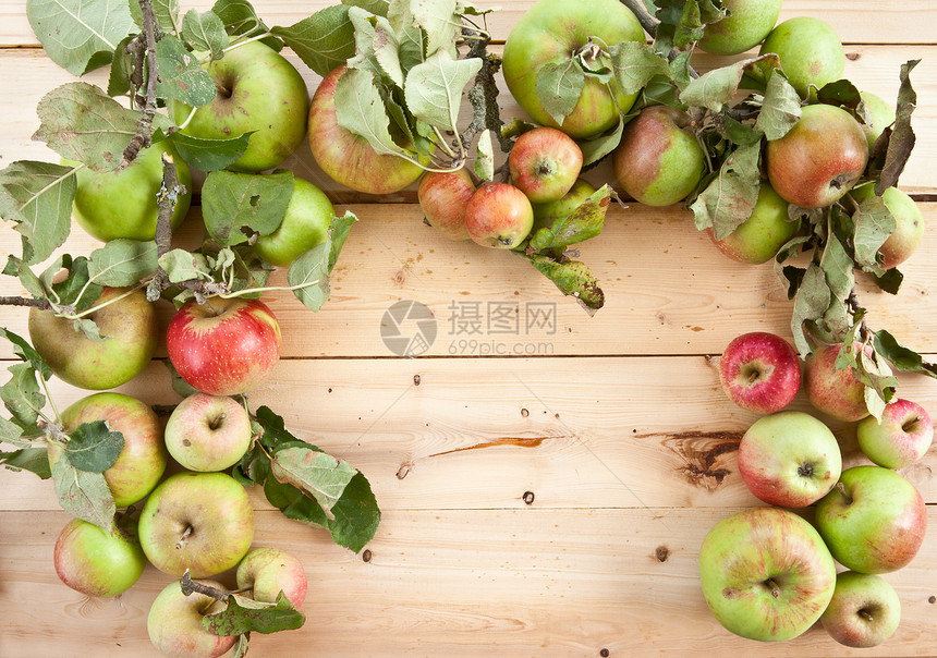 各种有机苹果食物红色水果绿色木头感恩乡村节日树叶生物图片