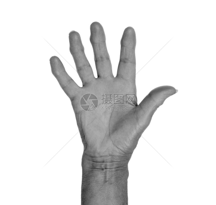 手符号 说五声打招呼或者说停止数数数字女性手势拇指身体女士商业皮肤指甲图片
