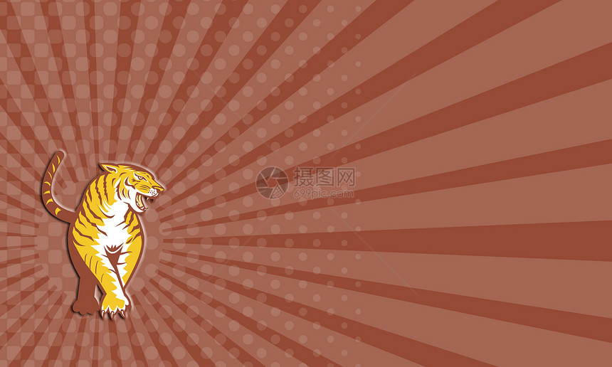 牌号  老虎彩票野生动物猫科大猫獠牙动物插图艺术品条纹捕食者图片