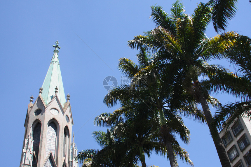 教堂和椰枣树图片