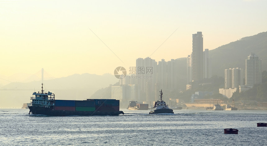 雾中的城市树木景观圆顶建筑物科学平台场景爬坡薄雾小说图片