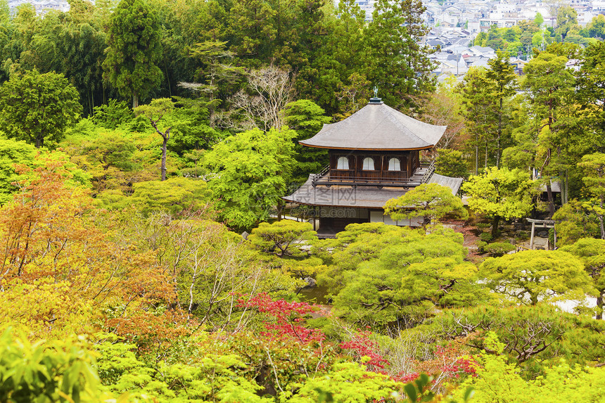 林中日本寺庙图片