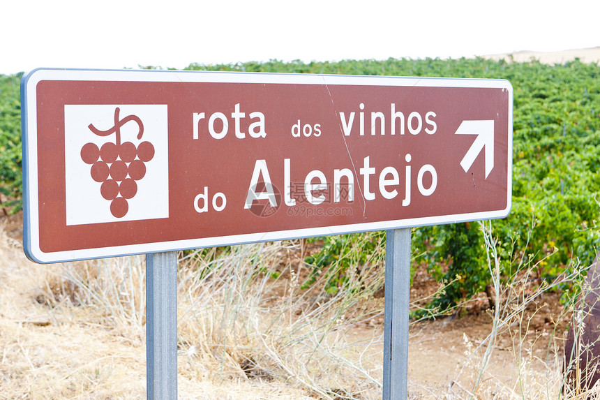 葡萄牙阿伦特霍的葡萄和葡萄酒路线农村世界植物葡萄乡村植物群国家位置农业外观图片