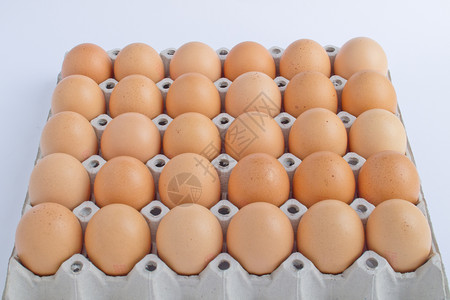 蛋影棚鸡蛋水平背景图片