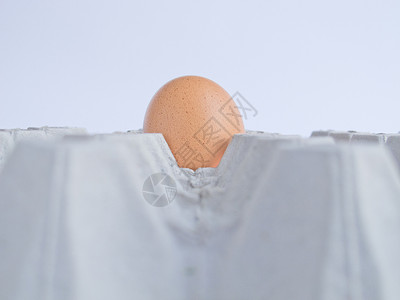 蛋水平影棚鸡蛋背景图片